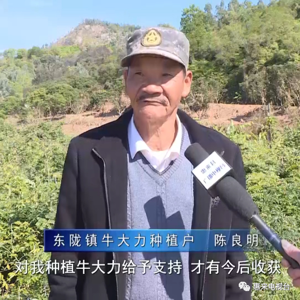 驻东陇镇帮镇扶村工作队:发挥组团帮扶优势 助力乡村振兴发展.00_03_35_00.静止004.jpg 图片