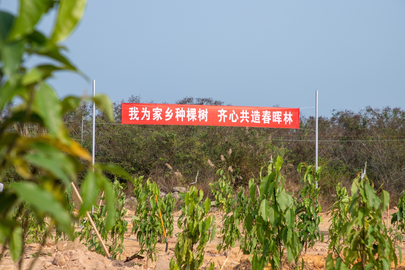 图片3.jpg