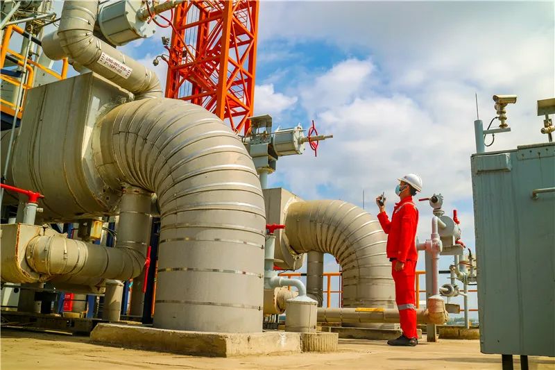 019_副本.jpg 图片