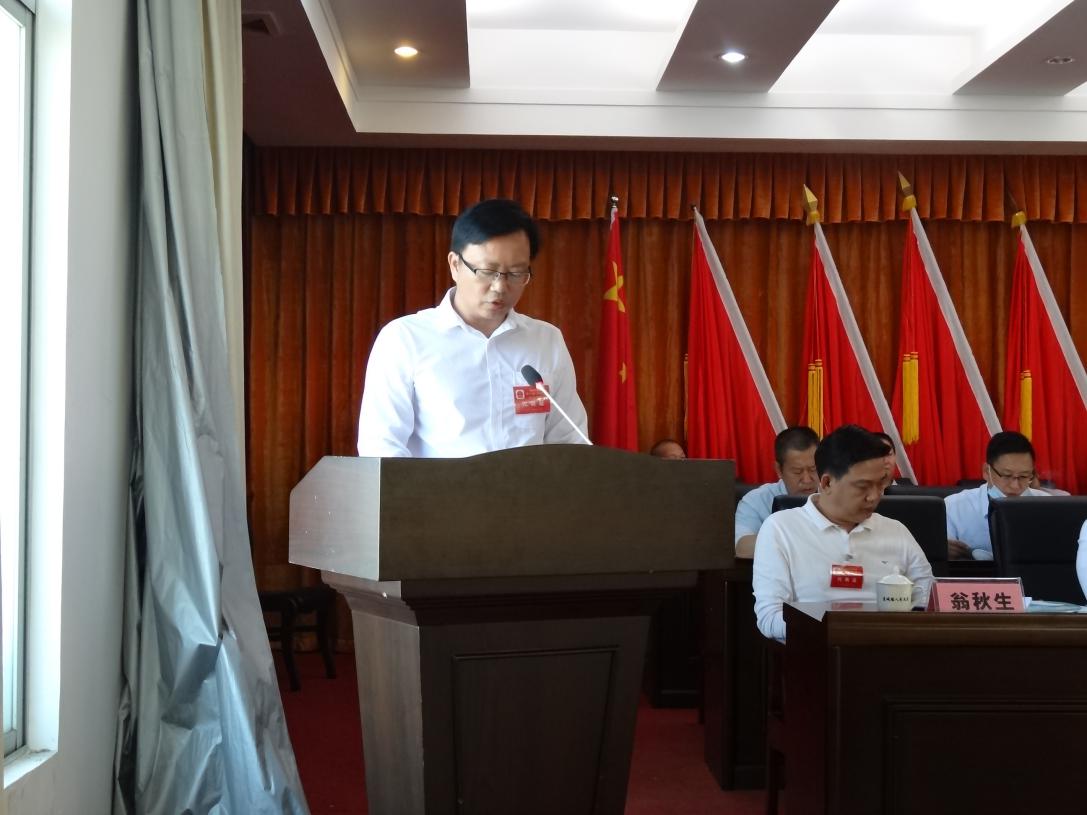 方文生同志向大会作惠城镇人民代表大会主席团组织代表开展活动工作