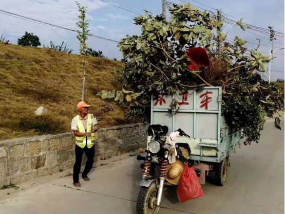 环境整治再掀高潮 全面助推乡村振兴505.png